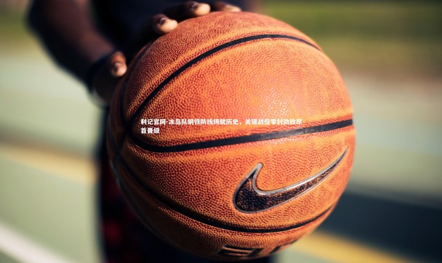 利记官网-冰岛队钢铁防线铸就历史，关键战役零封劲敌昂首晋级