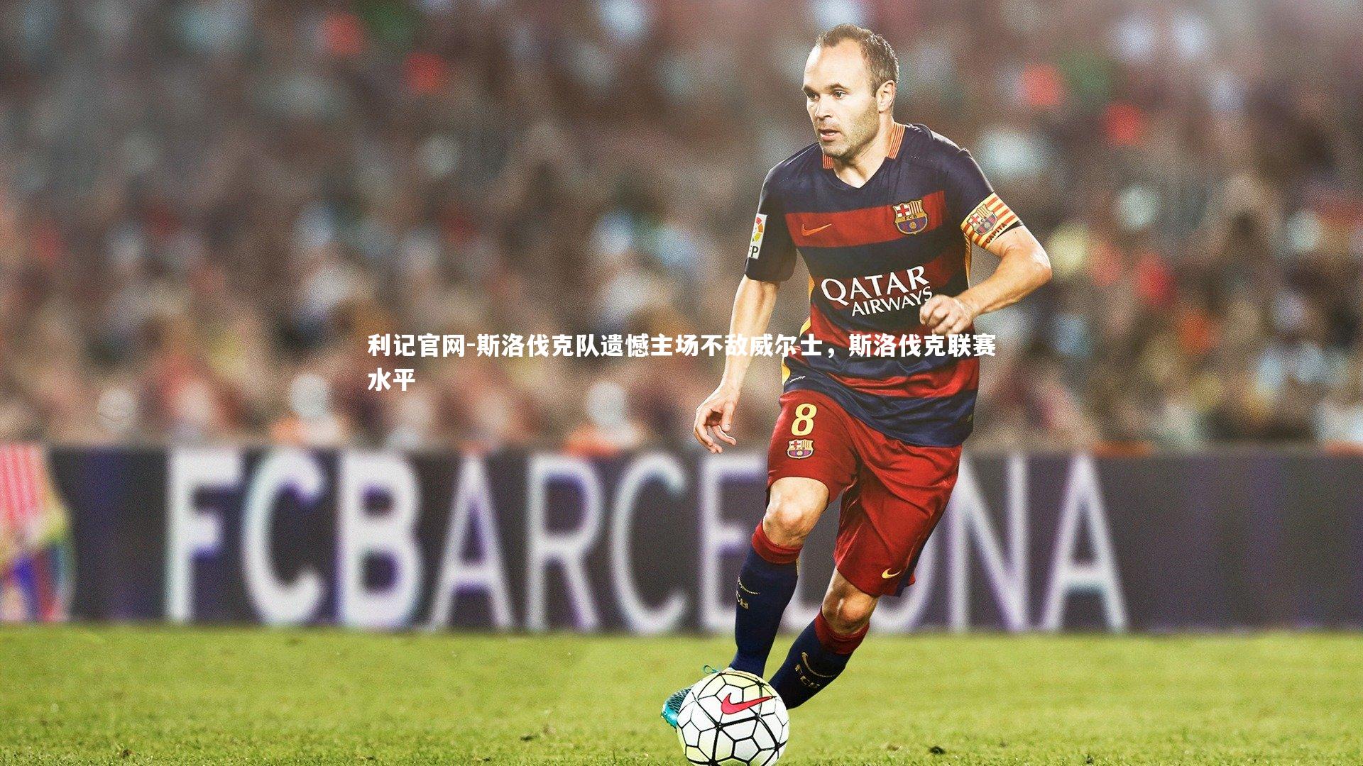 斯洛伐克队遗憾主场不敌威尔士，斯洛伐克联赛水平